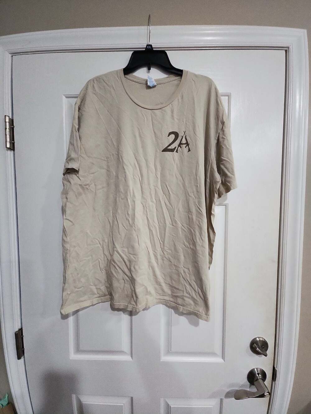 2A United We Stand Disarmed We Fall Graphic T-Shirt